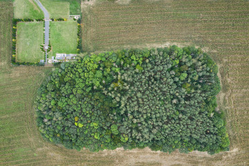Village country farming shapes in field