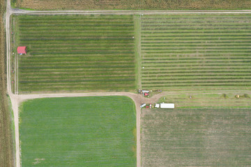Village country farming shapes in field