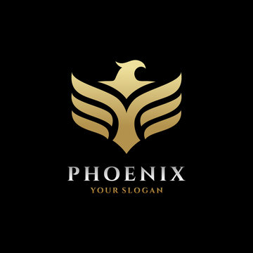Phoenix logo, Eagle and bird logo template