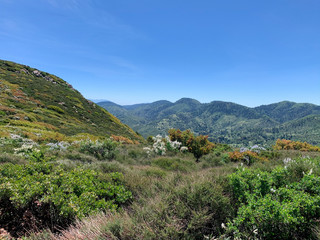 Fototapeta na wymiar Green Mountain Hiking Landscape