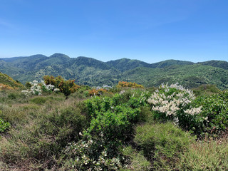 Fototapeta na wymiar Green Mountain Hiking Landscape
