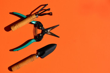 Garden little shovel rake and scissors to care for the colors on an orange background with a copy space
