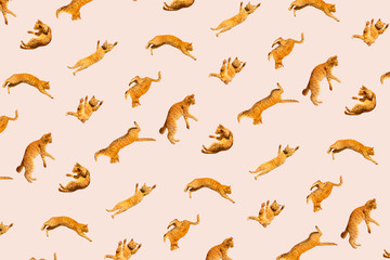 pattern of many ginger flying jumping, dance funny cats, on a light background, set collage
