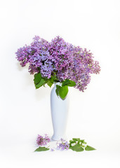 bouquet of blooming lilac in a white vase on a white background