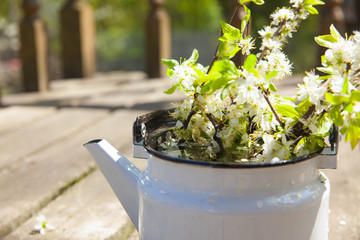 Blooming branches of an Apple tree in a teapot. Spring in the garden.