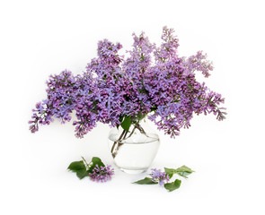 bouquet of blooming lilac in a glass vase on a white background