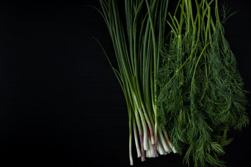 The smell of spring. Fresh spring greens for salads, green onions and dill on a dark wooden background. Top view, text area.