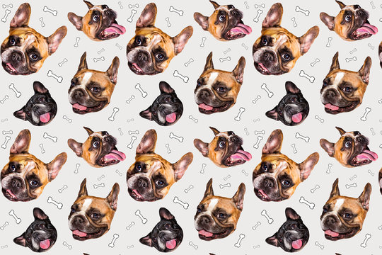 set of cute little dog French bulldog. Funny collection head pattern of different happy puppy, isolated for print.