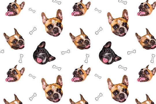 set of cute little dog French bulldog. Funny collection head pattern of different happy puppy, isolated for print.