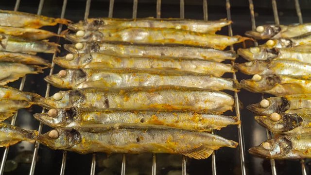Time lapse video of cooking a fish capelin on grille in oven