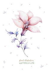 Pink flower Hand drawn watercolor illustration on white background.