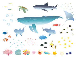 リアルな海の生き物セット