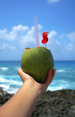 coconut on the beach