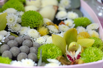 Beautiful large multi-colored flowers in nature