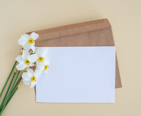 Narcissuses flowers flat lay and empty mock up letter with envelope on pastel paper yellow beige background. Creative minimal concept, top view, copy space