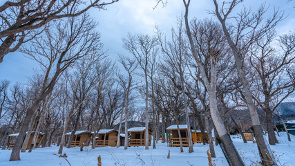 House Snow Covered Trees In Winter