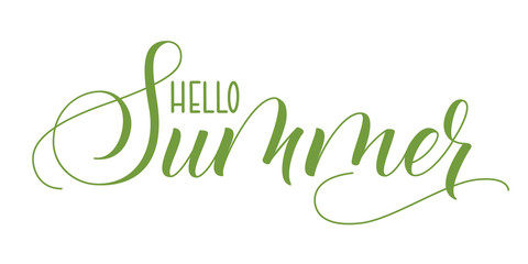 Modern brush calligraphy Hello Summer isolated on a white background. Vector illustration.