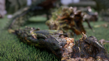 3D Rendering Illustration Of Dried Tree With Lichen