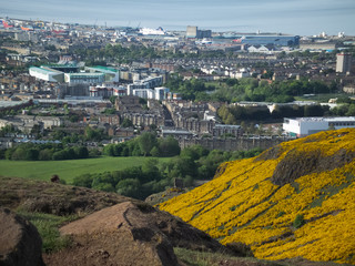 Fototapeta premium aerial view of the city of Leith Arthur Seat Edinburgh Scotland United Kingdom