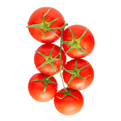 Tomato on a branch on an isolated white background, top view