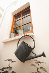 Window with plants and a hanging gutter
