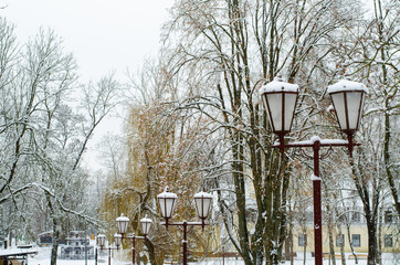 beautiful antique street lamp covered with snow. Many lampposts along the alley in the park. Winter landscape. Calm frosty day.