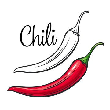 Chili vector drawing icon