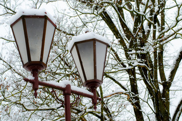 beautiful antique street lamp covered with snow. Many lampposts along the alley in the park. Winter landscape. Calm frosty day.