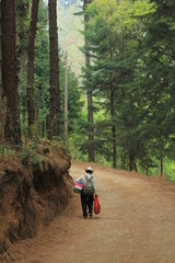 Obraz premium adult man hiking in the woods