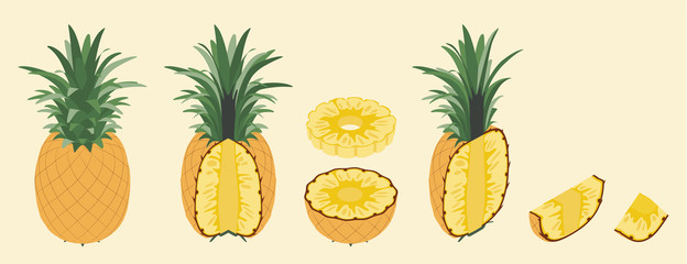 Pineapple Fruit Whole Half Slice and Cut Simple Vector Set