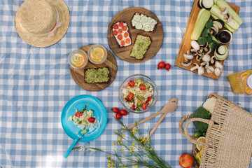 Top view of Picnic basket with healthy vegan sandwiches on blue checkered blanket in park. Fresh fruits, vegetables and orange juise. Vegan picnic concept