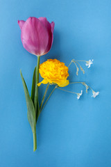 Blumenstrauß Stillleben mit Blumen wie Tulpe pink und Ranunkel vor Hintergrund blau als top view.