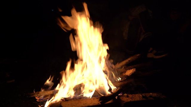 bonfire in nature. fire at night outdoors.
