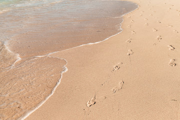 Footprints of bare feet and seawater are on a wet sand