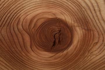 Wood background, wood texture. Sawed a tree with a knot and rings of time