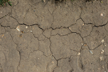 Ground texture background of brown desert soil, dusty land, dry earth, clay and sand. Climate change, global warming concept