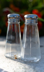 salt and pepper shakers