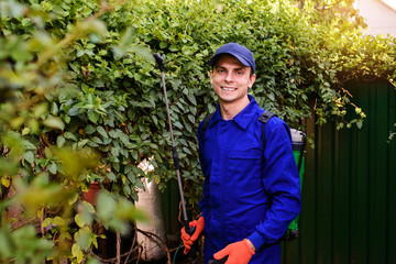 gardener in blue overalls and protective gloves is spraying herbicide, fungicide,insecticide on a bush leaves