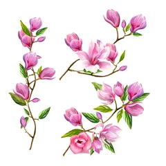 Fototapete Magnolie Aquarellblumenillustration mit blühenden rosa Magnolienblumen und -niederlassungen lokalisiert auf weißem Hintergrund. Frühlings- oder Sommerblumen für Einladungs-, Hochzeits- oder Grußkarten.