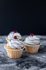 Sweet cupcakes for party. Fresh cupcakes decorated with cream cheese on modern  background. Sweet baked pastry. Holiday cake celebration, delicious dessert, close up