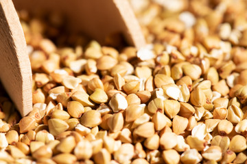 Close up of raw green buckwheat background, selective focus. Vegan organic food concept, diet, weight loss, healthy and proper nutrition