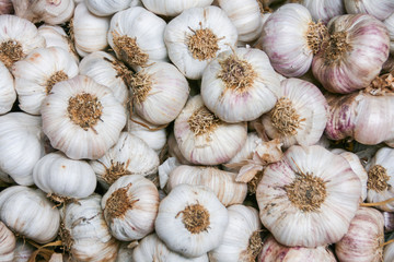 Ajos en el Mercado do Bolhão en Oporto, Portugal