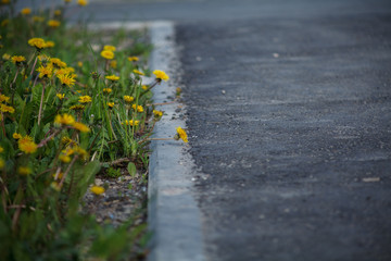 Мать и мачиха в доль тратаура,Mother and machiha share the mourning,