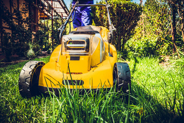 Mowing the grass. A man mows the grass with an electric mower. The concept of working in the garden...