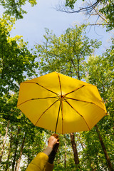 In the forest, girls hands hold a yellow umbrella at the top.