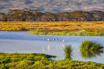 scenic view at Lake Nakuru National Park