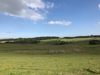 Obraz premium green field and blue sky