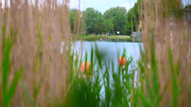"View of a quarry pond on which orange markings for swimmers swim from the shore through a lot of reeds with overcast skies and calm water in northern Germany
