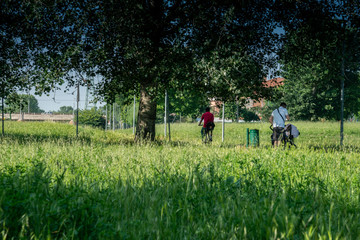 Giardino cittadino urbano parco rilassamento con cielo azzurro, bici e pap&agrave; con carrozzina in lontananza