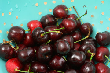 Close up of freshly rinsed raw red bing cherries in blue colander